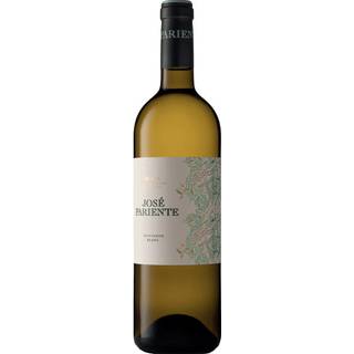 José Pariente Verdejo 2024