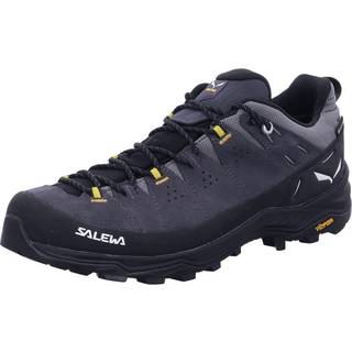Salewa Alp Trainer 2 GTX Multisportsko Herrer størrelse 8 farve sort