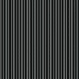 Fermín Azabache - A00250N