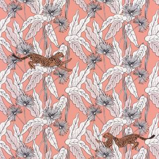 Fantasy World Rose Peche Blanc Cuivre - PTB101774001