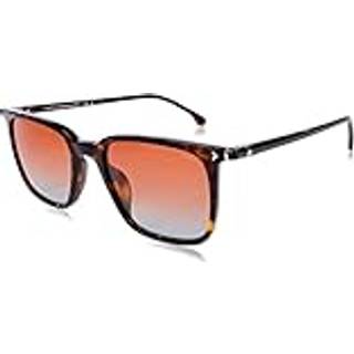 Lozza Mand SL4320 ROMA 1 0722 Solbriller Acetat Havana Brun Firkantet Normal Skygge
