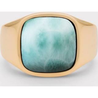 IX Cushion Signet Ring Larimar