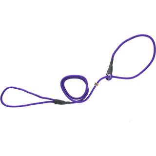 Retrieverline i Nylon Firedog 6 mm 130 cm Violet