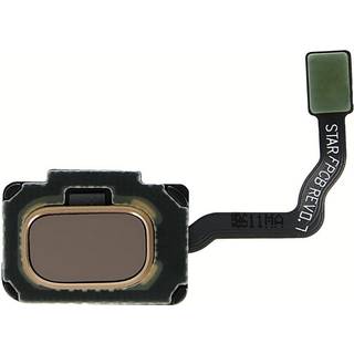 Gylden Samsung Galaxy S9 & S9 Plus fingeraftryksscanner