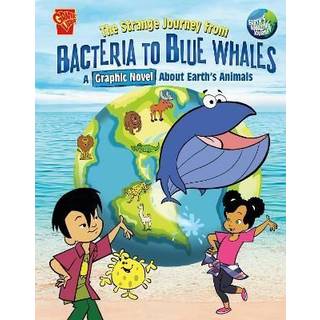 The Strange Journey from Bacteria to Blue Whales