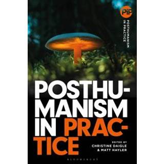 Posthumanism in Practice