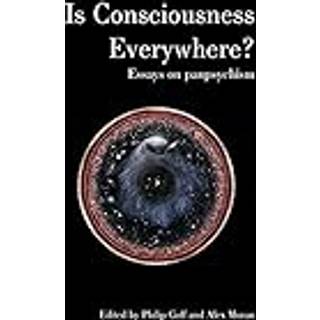 Is Consciousness Everywhere?