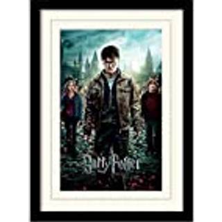 HARRY POTTER - Mounted & Framed 30X40 Print - Deathly Hallows Part 2