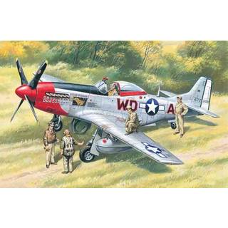 Mustang P-51D WWII American Fighter with USAAF Pilots and Ground Personnel