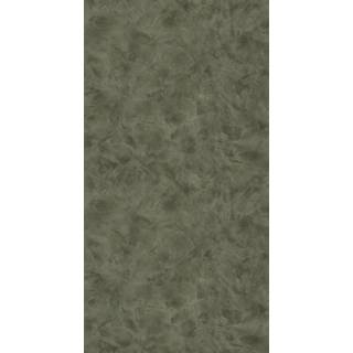 Uni Metallise / Nacre Vert Kaki Dore - PAE103687742