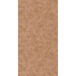 Patine 2 Uni Noisette - PAE100222477