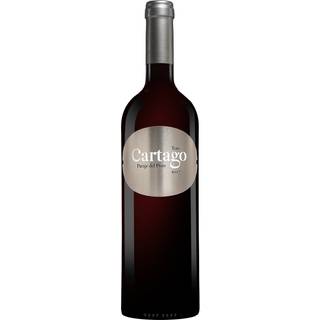Bodegas y Viñedos San Román Cartago Paraje del Pozo 2020