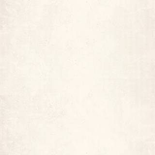 Patine Uni Beige Clair Nacre - PAI100221000