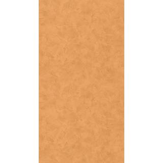 Patine 2 Uni Ambre - PAE100222388