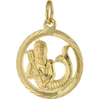 trendor 39000-02 Sternzeichen Wassermann 333 Gold Anhänger Ø 16 mm