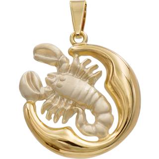 trendor 41000-11 Skorpion Sternzeichen Anhänger Gold 333 (8 Karat) Ø 21 mm
