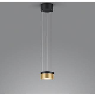 Helestra Oda LED-hængelampe sort/guld