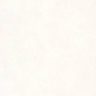 Patine Uni Beige Clair - PAI100221256