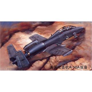 Fairchild A-10 A Thunderbolt N/AW