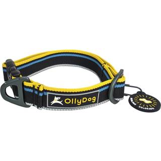 OllyDog Urban Trail Reflective Collar Anthracite, M