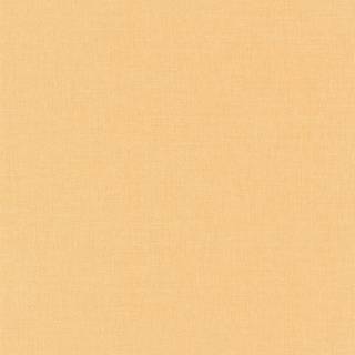 LINEN UNI ORANGE - LINN68523115