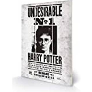 HARRY POTTER - Wood Print 20x29.5 - Undesirable No1