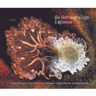 Se det usynlige i øjnene