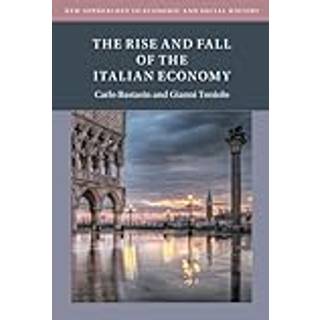 The Rise and Fall of the Italian Economy