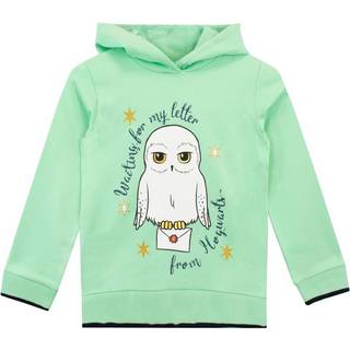 Character Character Green 100% Cotton Harry Potter Hoodie