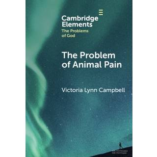 The Problem of Animal Pain