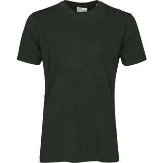 Colorful Standard Classic Organic T-Shirt Midnight Forest