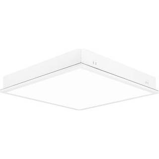 Roma 38w 4250lm 4k dali ip54 opal hv