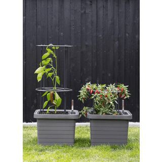 Pindstrup espalier t/selvvand. 80x184x120 2085/001