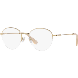 Swarovski 0SK1004