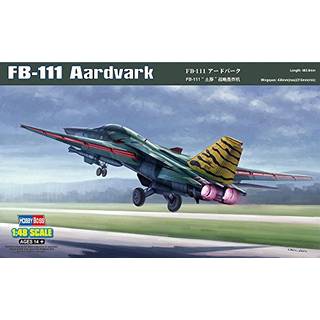 FB-111 Aardvark