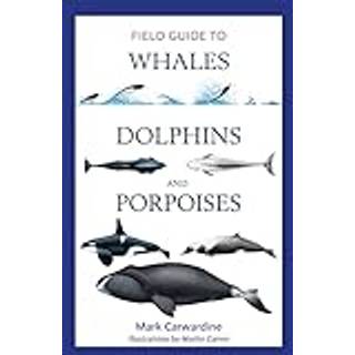 Field Guide to Whales, Dolphins and Porpoises