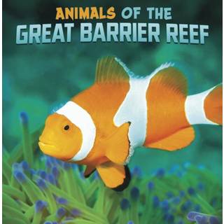 Animals of the Great Barrier Reef