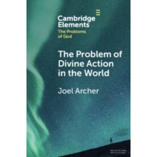 The Problem of Divine Action in the World