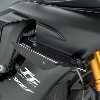Puig Downforce Winglet Sidespoiler Sort, med TGK