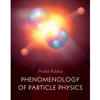 Phenomenology of Particle Physics