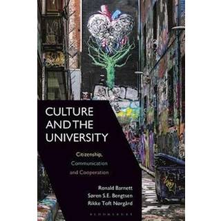 Culture and the University