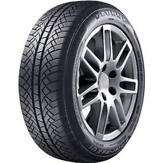 Sunny Wintermax NW611  195/65R15 91H