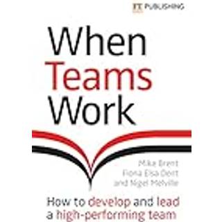 When Teams Work: How to develop and lead a high-performing team
