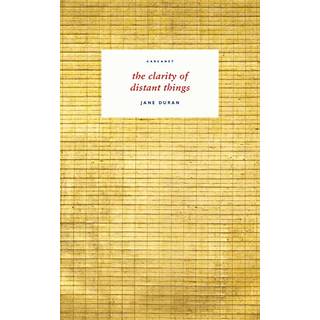 the clarity of distant things