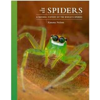 The Lives of Spiders