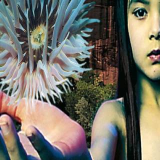 Future Sound Of London - Lifeforms