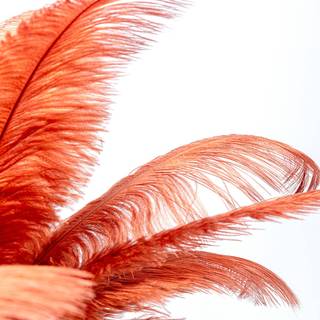 KARE Feather Palm bordlampe med fjer, rustrød