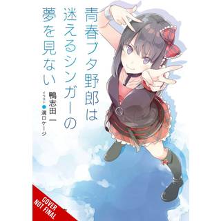 Rascal Does Not Dream of a Lost Singer (light novel)