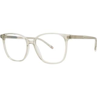 Paradigm 20-09 Grå 54 Briller Mænd Krystalklar - Transparent Light Grey - 54mm