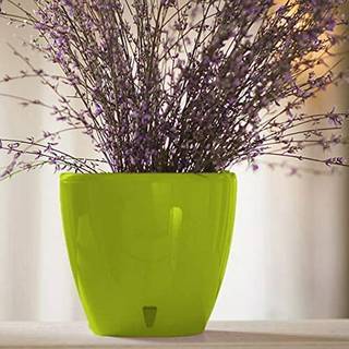 Decopots - 6,7 """" Selvvandingsplanter - indendørs dekorativ blomsterpotte med dræningspatron og vandstandindikator (6,7 """" Lime)